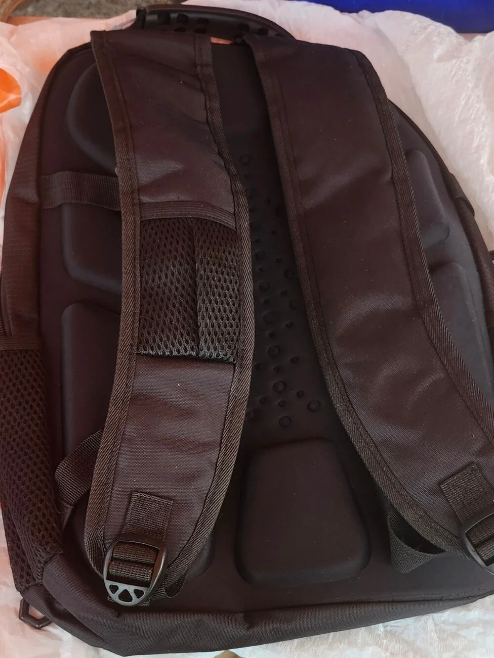Beverly Hills Polo Club Black & Blue Men's Backpack